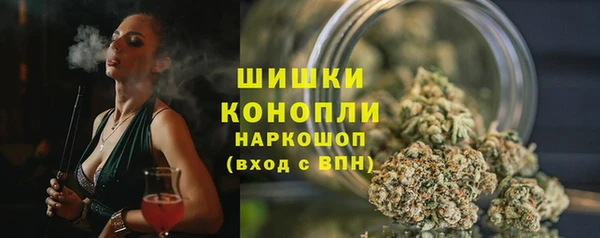 PSILOCYBIN Армянск