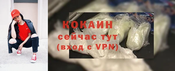 тгк Арсеньев
